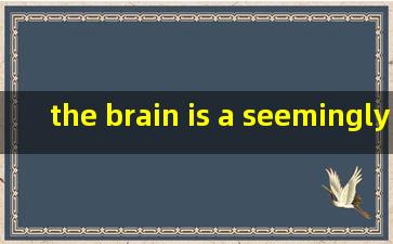 the brain is a seemingly endless答案